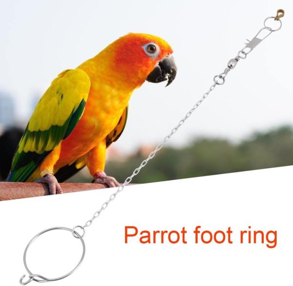 Bird Anklet Chain, Parrot Foot Ring Stainless Steel Bird Leash Parrot Opening Activity Ring Bird Stand Anklet Pet Bird Supplies for Nyasa Lovebird Cockatiel - Image 5