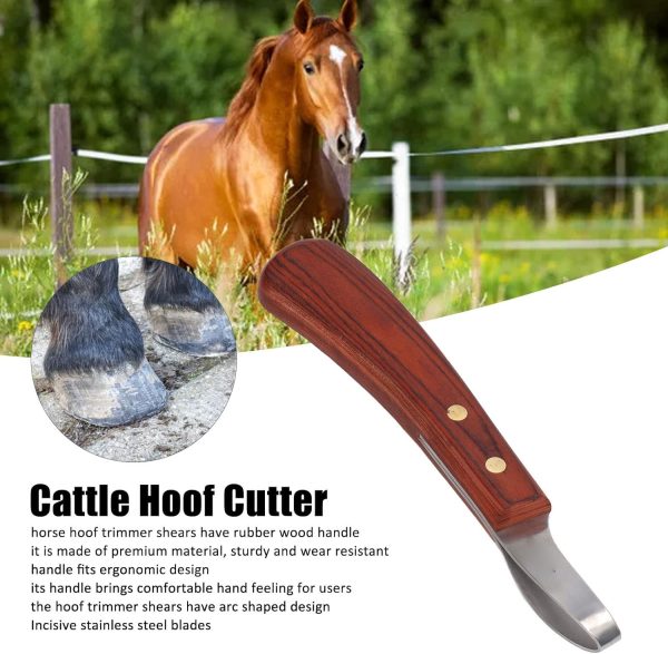 CHICIRIS Hoof Knife, Double Edged Hoof Trimming Knife with Wooden Handle Horse Farrier Tool, Stainless Steel Blade, Multifunctional Cow Horseshoe Knife for Hoof of Cows and Horses - Image 4