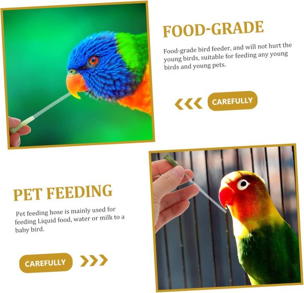 Kisangel 9pcs Parrot Feeding Hose Feeder Gavage Tubes Baby Bird Feeding Supplies Bird Feeding Milk Tool Birds Feeding Device Bird Milk Dispenser Pet Supply Feed Water Plastic Pet Supplies - Image 2