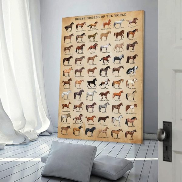 XNLKSI Horse Knowledge Horse Breeds of The World Poster Framed 12x16inch - Image 3