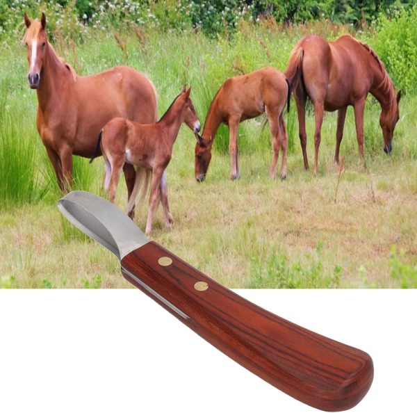 CHICIRIS Hoof Knife, Double Edged Hoof Trimming Knife with Wooden Handle Horse Farrier Tool, Stainless Steel Blade, Multifunctional Cow Horseshoe Knife for Hoof of Cows and Horses - Image 8