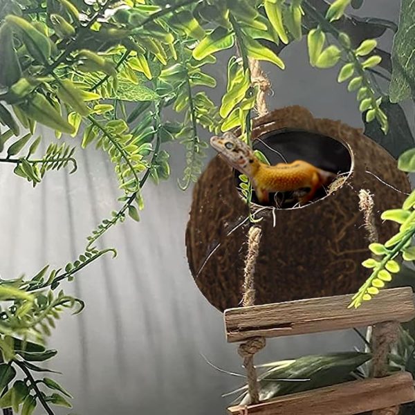 6PCS Crested Gecko Coconut Hut, Lizard Coco Den with Ladder and Reptile Hammock Bearded Dragon Tank Accessories Climbing Hanging Plants Jungle Vine Flexible Reptile Leaves Decor - Image 6