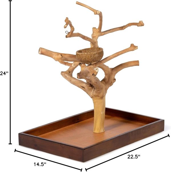 Prevue Pet Products Coffeawood Java Tree Minis Medium Table Top Playstand 22634, 22.5" L x 14.5" W x 24.0" H - Image 6