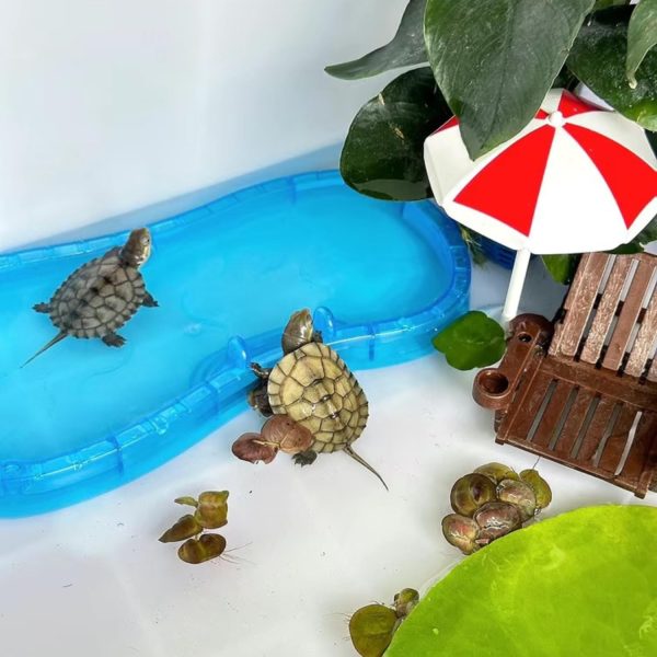 Tree Frog Tank Accessories - Novelty Pool Theme Set Turtle Habitat Decoration Reptile Water Food Bowl for Amphibian Aquatic Frog Toad Lizard Leopard Gecko Hermit Crabs Snake Spider Scorpion (Pool Set) - Image 5