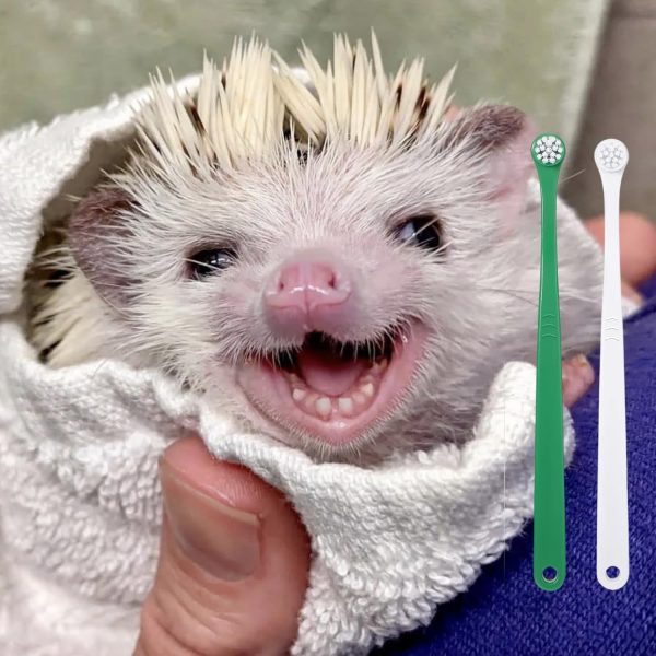 2 Pcs Pet Toothbrush for Hedgehog Small Animal Toothbrush Mini Head Soft Bristles Gentle Pet Toothbrush for Small Pets Dental Care Hedgehog Supplies Hedgehog Grooming Accessories (2 Pack) - Image 5