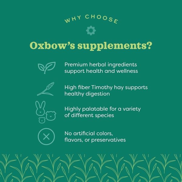 Oxbow Natural Science Papaya Support - High Fiber Supports Digestive Health in Small Animals, 1.16 oz. - Image 2