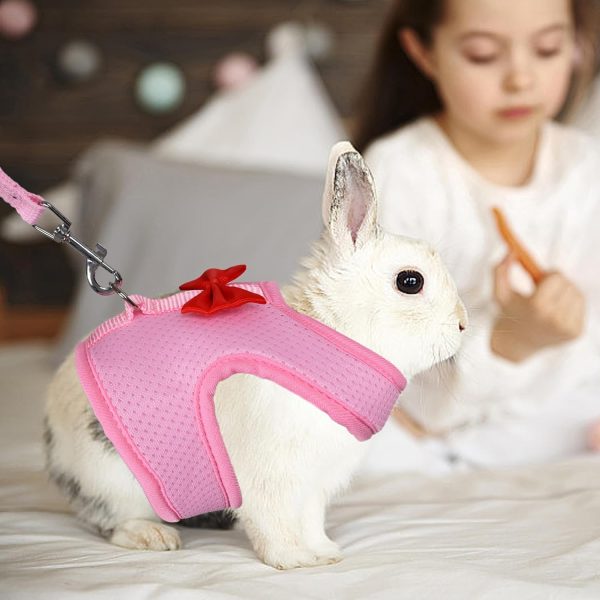 AIITLE Rabbit Harness and Leash Set with Cute Bow, Soft Breathable Mesh Vest Harness for Rabbits Kitten Ferret Puppy Small Pets Walking Supplies Pink S - Image 2