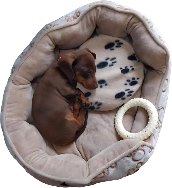 The 'Original' Snugglesafe Microwave Heating Pad Disc Microwavable Heated Pet Bed. - Image 5