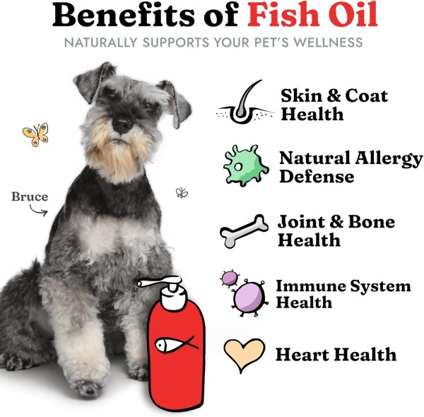 Fish Oil for Dogs - Healthy Skin & Coat, Salmon, Pollock, All Natural Supplement for Pets, Itching Scratching Allergy & Inflammation Defense, Omega 3 EPA DHA, Brain & Heart Health, 64 oz - Image 2