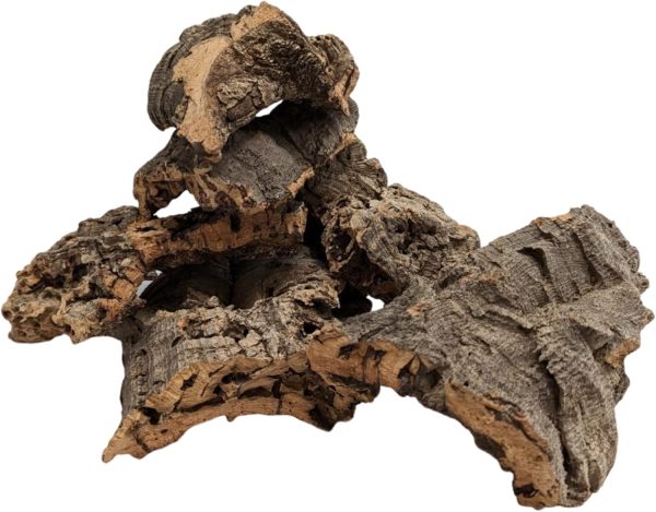 DBDPet Virgin Reptile Cork Bark- Assorted Pieces (Rounds, Half Rounds, and Flats by Weight) for Reptiles, Amphibians, Orchids, Frogs, Terrariums and More! (1lb of Assorted Pieces) - Image 3