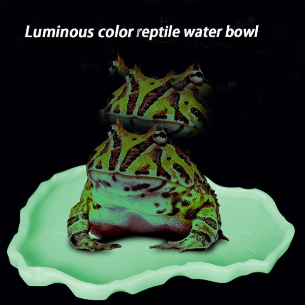 Luminous Reptile Food Bowl,Large Water Dish,Terrarium Bowls, Tortoise Bowl (Luminous) - Image 3