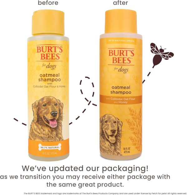 Burt's Bees for Pets Oatmeal Dog Shampoo - Soothing Shampoo for Dogs - Gentle Dog Shampoo for Sensitive Skin - Moisturizing Pet Care with Colloidal Oat Flour & Honey - Fragrance Free, 16 Oz - Image 4