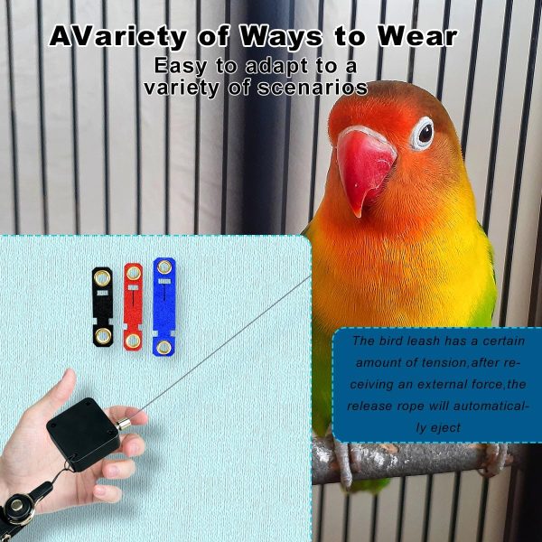 Bird Harness and Leash Retractable Pet Parrot Harness Anti-Bite Pet with Soft Foot Ring - Image 6