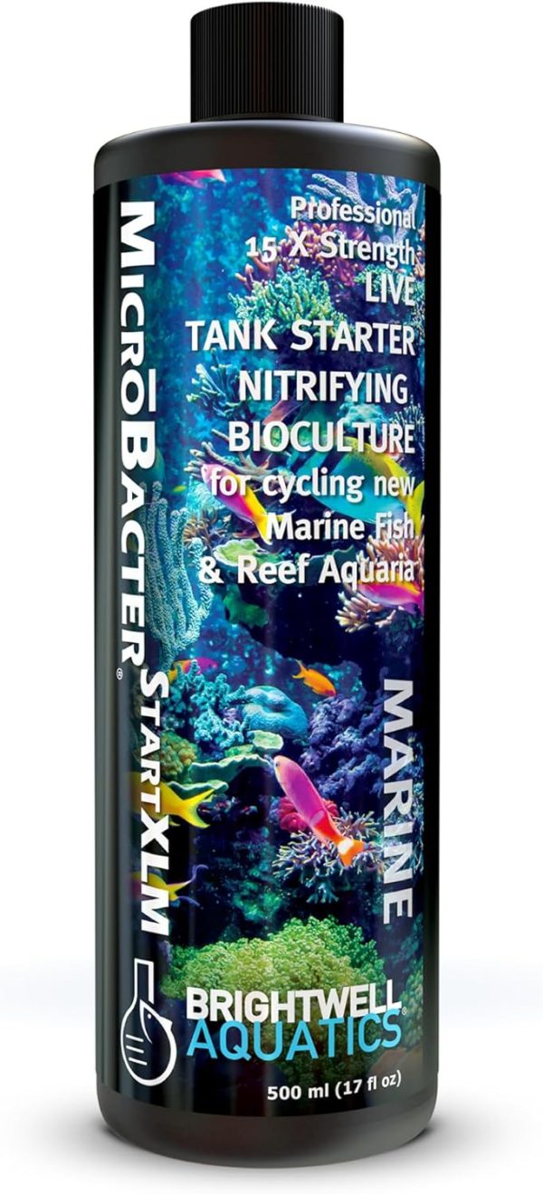 Brightwell Aquatics MicroBacter Start XLM - Concentrated Freshwater Nitrifying Bacteria - Quick Start Fish Tank Starter, Lift Microbe Levels & Water Filtering - Aquarium Water Treatments, 16.9 fl oz