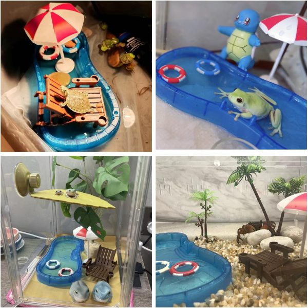 Tree Frog Tank Accessories - Novelty Pool Theme Set Turtle Habitat Decoration Reptile Water Food Bowl for Amphibian Aquatic Frog Toad Lizard Leopard Gecko Hermit Crabs Snake Spider Scorpion (Pool Set) - Image 7