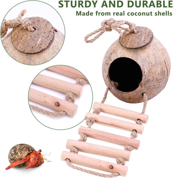 Hermit Crab Coconut Husk Hut with Branch Ladder,Coconut House Hermit Crab Shells Reptile Habitat,Coconut Nest Hangable Suitable for Animal Hiding Sleep (Coconut Shell) - Image 5