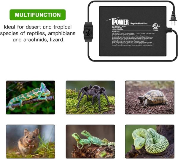 iPower 6 by 8-Inch Reptile Heat Mat with Temperature Adjustable Controller Knob, LCD Digital Aquarium Thermometer, Under Tank Warmer Terrarium Heat Pad for Reptiles and Amphibians - Image 5