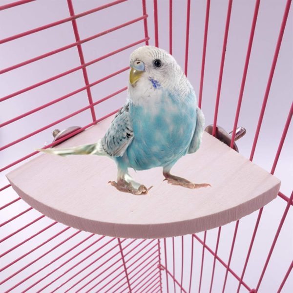 Bird Perch Platform Stand，Wood Perch Bird Platform Parrot Stand Playground Cage Accessories for Small Anminals Rat Hamster Gerbil Rat Mouse Lovebird Finches Conure Budgie Exercise Toy (Semicircle) - Image 2