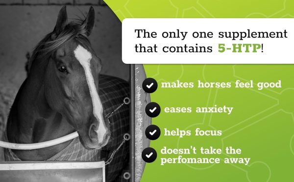 SynChill Oral Horse Calming Gel, 100% Natural & Nutritional Supplement, Lab Proven Results, Designed for Focus & Performance, Approved by Olympic Professionals & Veterinarians, Made in USA - 3-Pack - Image 3