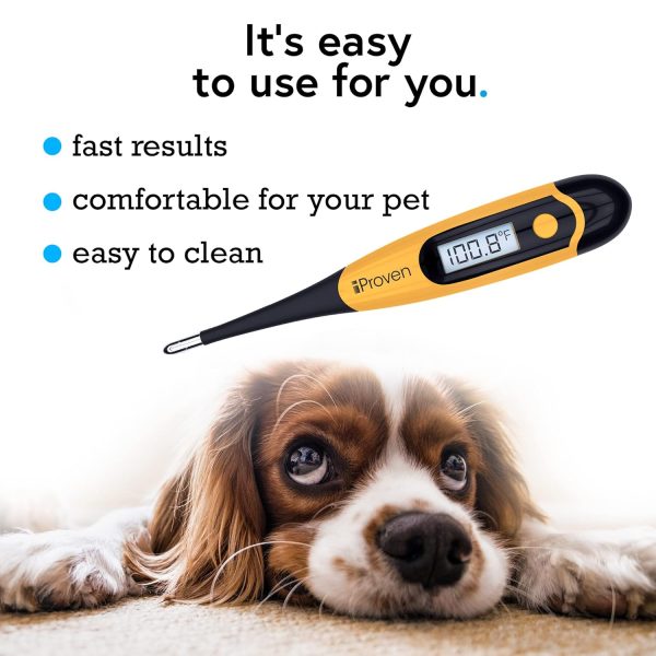 iProven Dog & Cat Thermometer for Accurate Fever Detection, Comfortable Flexible Tip, Waterproof Pet Thermometer, Fast Readings in 20 sec, Whelping and Veterinary Supply, DTK-117Y - Image 3