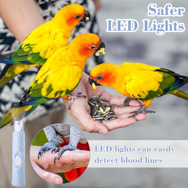 Lasnten 2 Pcs Bird Nail Grinder with Bird Nail Clipper Bird Nail Trimmer Bird Nail File with LED Lamp Grooming Tool for Bird Parrot Budgerigars Parakeets Myna Conure Parakeets Finches Lovebirds - Image 6