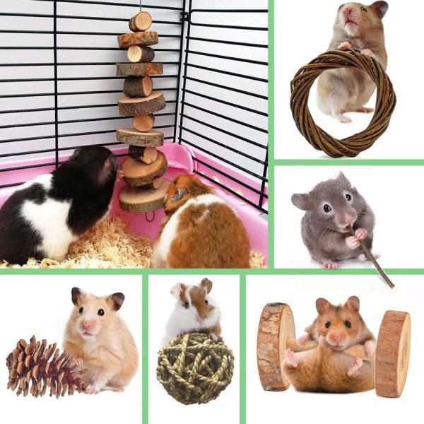 10 Pack Small Animal Combo Wood Activity Toys, Hamsters Chew Toys, Rat Chinchilla Snacks Toys for Pets Accessories - Image 7