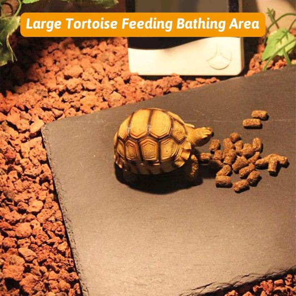 Tfwadmx 2Pcs Reptile Basking Platform Large Tortoise Feeding Bathing Area Turtle Original Rock Plate Grinding Nails Resting Terrace Habitat Decor for Amphibian Reptile Bearded Dragon Chameleon Snake - Image 4