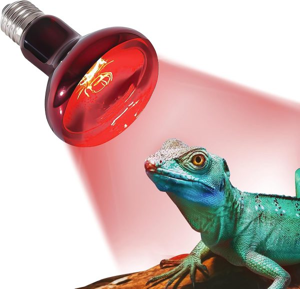 Pet Supplies 50w Infrared Heating Lamp 2 Pack, 110v E27 Basking Spot Light Bulbs for Reptile and Amphibian, as Bearded Dragons, Turtles, Ball Pythons, Red - Image 2