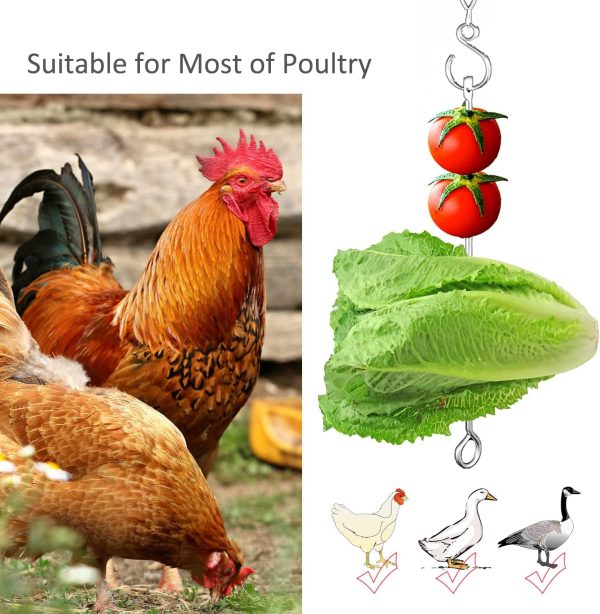 Chicken Vegetable Hanging Feeder Toy for Hens Pet Chicken Veggies Skewer Fruit Holder for Hens Large Bird - Image 2