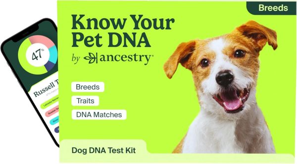 AncestryDNA Know Your Pet DNA: Dog DNA Breed Identification Test, Genetic Traits, DNA Matches, Dog DNA Test, Dog Breed DNA kit, Easy-to-Use Pet DNA Test