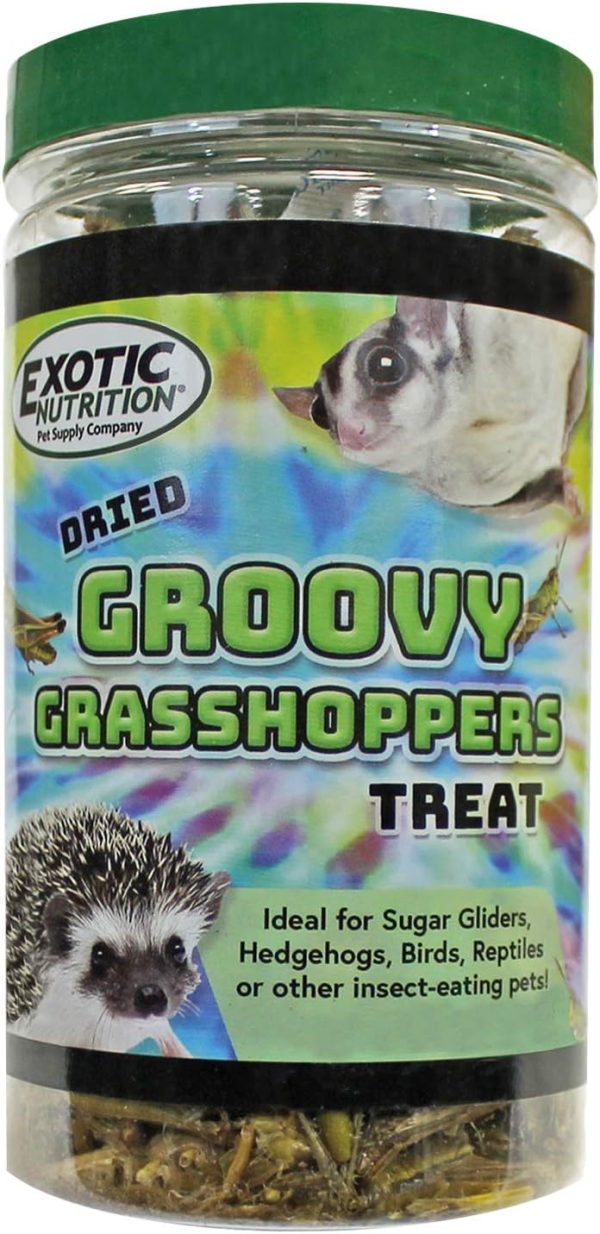 Groovy Grasshoppers - All Natural Healthy High Protein Insect Treat - Chickens, Birds, Hedgehogs, Bluebirds, Reptiles, Sugar Gliders, Opossums, Skunks, Lizards, Fish, Turtles, Amphibians (2.8 oz.)