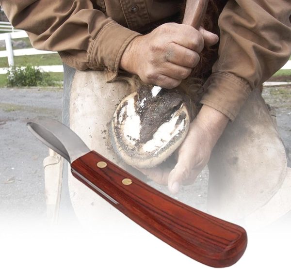 CHICIRIS Hoof Knife, Double Edged Hoof Trimming Knife with Wooden Handle Horse Farrier Tool, Stainless Steel Blade, Multifunctional Cow Horseshoe Knife for Hoof of Cows and Horses
