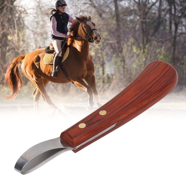 CHICIRIS Hoof Knife, Double Edged Hoof Trimming Knife with Wooden Handle Horse Farrier Tool, Stainless Steel Blade, Multifunctional Cow Horseshoe Knife for Hoof of Cows and Horses - Image 9