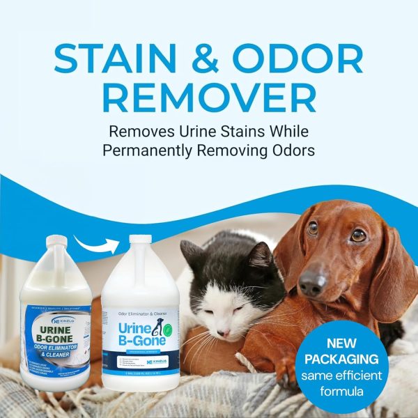 KINZUA ENVIRONMENTAL Urine B-Gone, Professional Enzyme Odor Eliminator & Pet Stain Remover, Human, Cat & Dog Urine Cleaner, Effective on Laundry, Carpets & More, Original Scent, 1 Gallon - Image 2