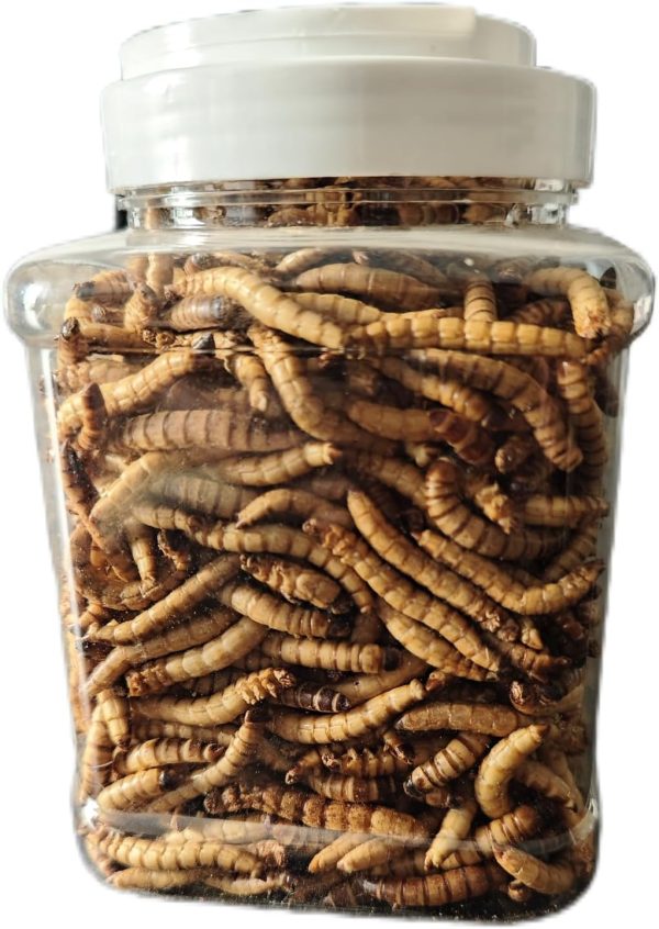 20oz Dried Superworms - High Protein Reptile & Amphibian Food