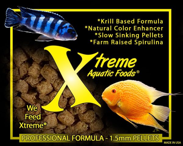 Xtreme Cichlid Peewee 1.5 mm Pellets - Proven Nutrition for Cichlids - Balanced Amino Acids, Boost Immune & Digestive Health, Color & Energy, Max Protein Freshwater Fish Food – USA Farm Grown (38oz) - Image 2