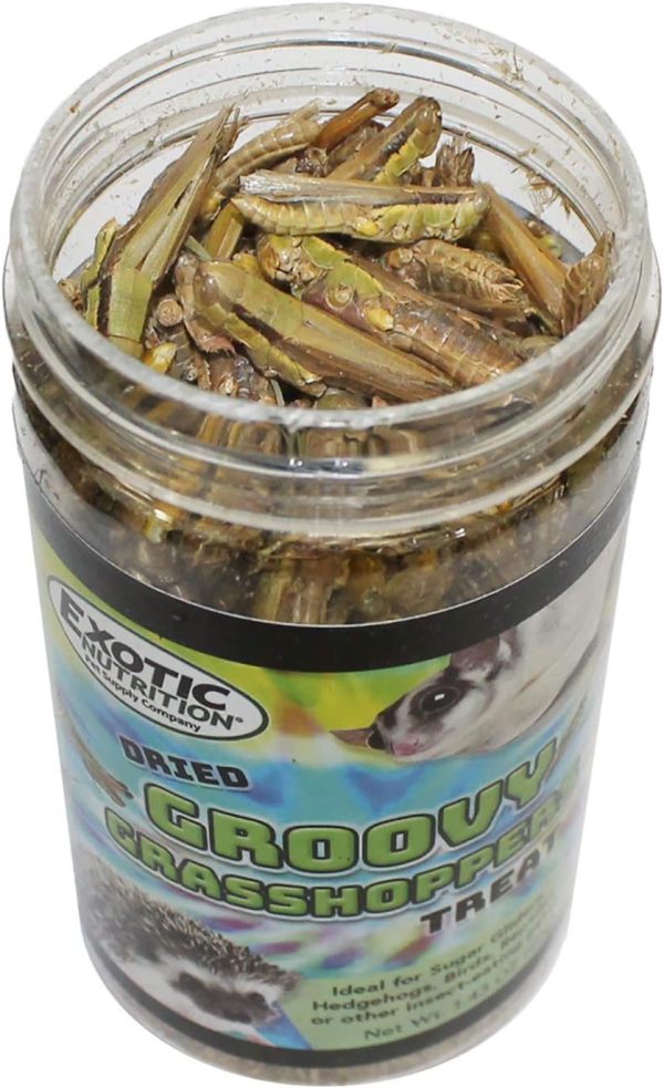 Groovy Grasshoppers - All Natural Healthy High Protein Insect Treat - Chickens, Birds, Hedgehogs, Bluebirds, Reptiles, Sugar Gliders, Opossums, Skunks, Lizards, Fish, Turtles, Amphibians (2.8 oz.) - Image 2