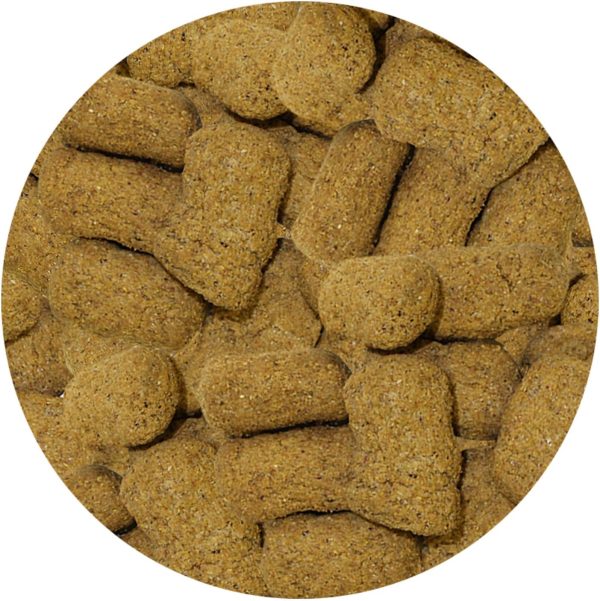 Monkey Biscuits (Standard, 3 lb.) - Healthy & Crunchy Biscuit Treat for Prairie Dogs, Parrots, Squirrels, Sugar Gliders, Hamsters, Rats, Rodents, Amazons, Macaws, Cockatoos, Birds & Other Small Pets - Image 3