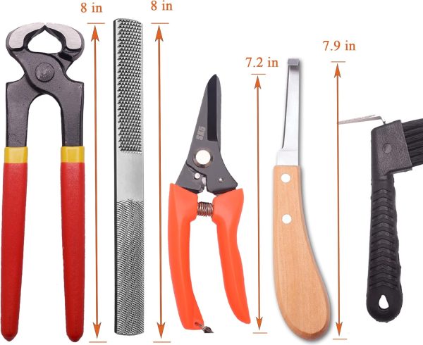 8 inch Farrier Tool Kits （7 Piece） Mini Rasp Hoof File Goat Pig Equine Metal Shears Professional Farriers Hoof Nipper Cutter Handle Knife - Image 4