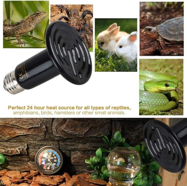 Energy Efficient 75W Reptile Heat Bulbs, Pack of 3 Ceramic Heat Emitters for Geckos, Turtle, Snake, Bearded Dragon, Lizards, Iguana, Reptile & Amphibians - Image 5