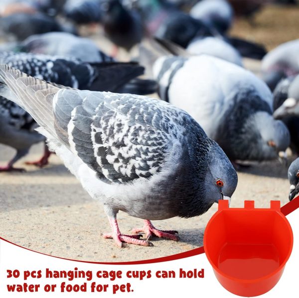 30 Pcs Cage Cups Birds Feeders Bird Water Dispenser Hanging Quail Waterer Plastic Chicken Feeding Watering Dish for Small Coop Parrot Parakeet PET Poultry Pigeon Gamefowl Food Seed Bowl Supplies, Red - Image 3