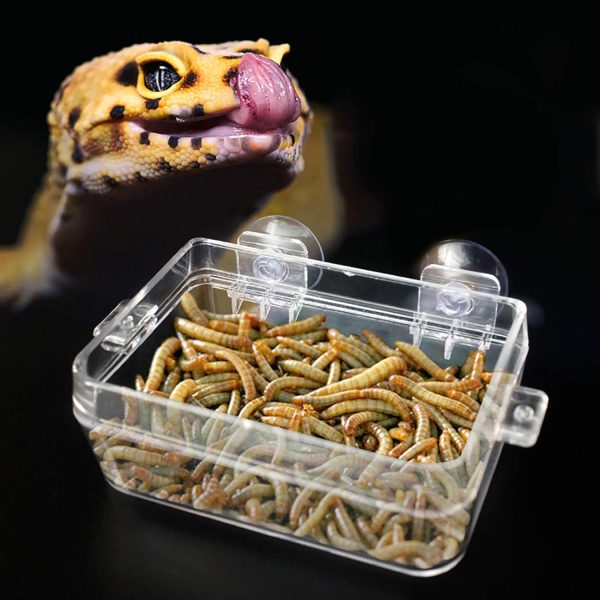 Acouto Amphibians Reptiles Anti Escape Feeder Worm Feeding Basin Tortoise Lizard Crawler Food Bowl Suction Cup Feeder for Reptiles Bearded Dragon Accessories Food Cricket Container Gecko