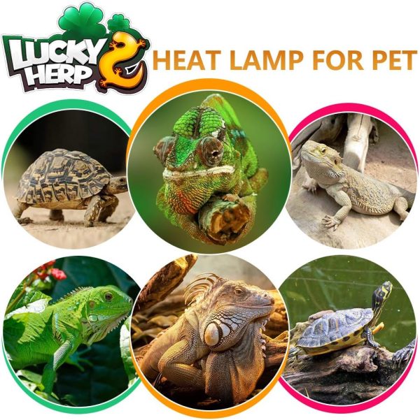 LUCKY HERP 80 Watt UVA+UVB Vapor Heat Lamp Bulb, High Intensity Self-Ballasted Heat Basking Lamp/Bulb/Light for Reptile and Amphibian, Sun Lamp for Bearded Dragon Lizard Turtle - Image 7