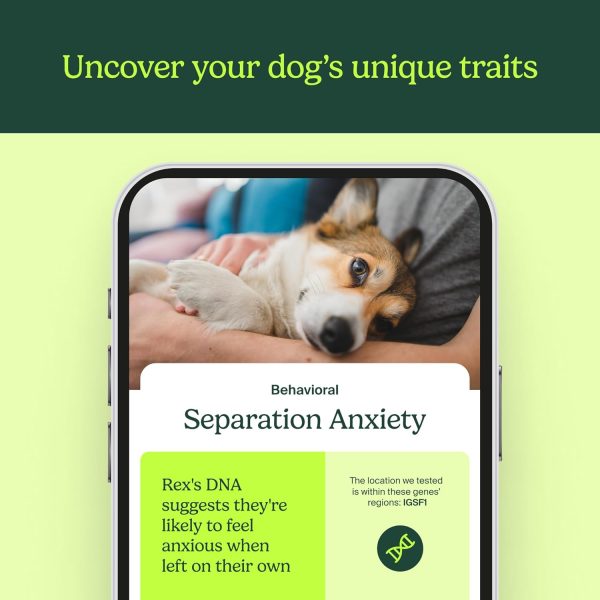 AncestryDNA Know Your Pet DNA: Dog DNA Breed Identification Test, Genetic Traits, DNA Matches, Dog DNA Test, Dog Breed DNA kit, Easy-to-Use Pet DNA Test - Image 3