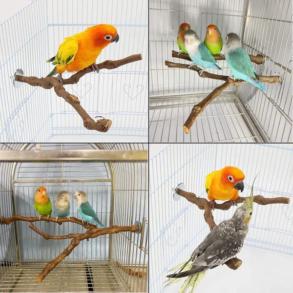 Natural Parrot Perch Wild Grape Stick Bird Standing Pole Claw Grinding Fork Parrot Climbing Standing Branch Toy Chewable Cage Accessory Small Budgies Love Birds 4PCS - Image 2