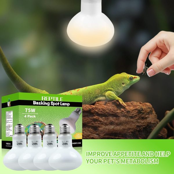 LUCKY HERP 4 Pack 75W Reptile Heat Lamp Bulb (2nd Gen), Amphibian Basking Light Bulb, Reptile Daylight Bulb for Turtle, Bearded Dragon, Lizard Heating Use - Image 3