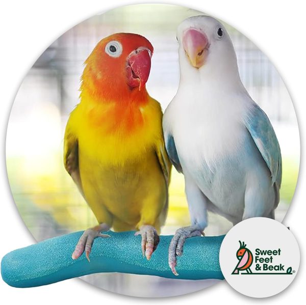 Safety Pumice Perch - Trims Nails and Beak - Promotes Healthy Feet - Safe Non-Toxic Bird Supplies for Bird Cages - Small 8" - Image 2