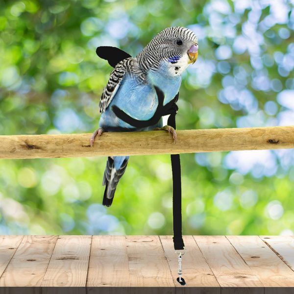 Dnoifne Pet Parrot Bird Harness and Leash, Adjustable Training Design Anti-Bite, Bird Nylon Rope with Cute Wing for Parrots, Suitable for Scarlet, Keck, Mini Macaw and Same Size Birds (Black) - Image 2