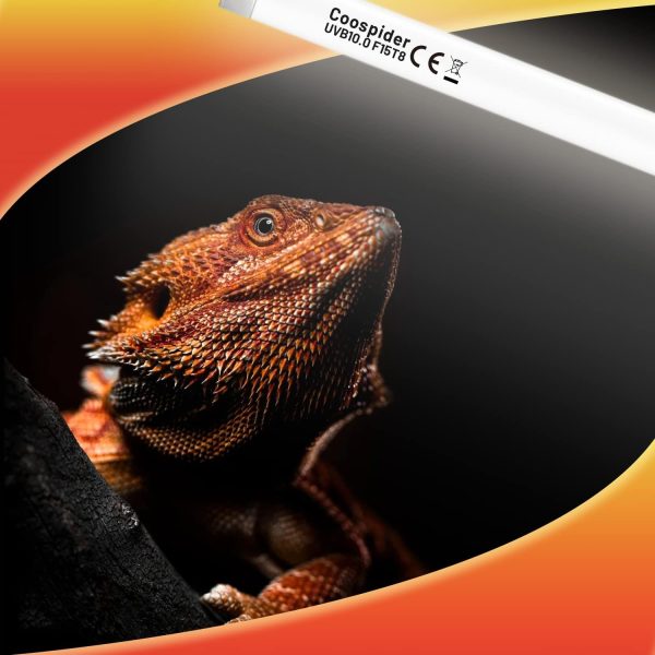 Hypool 2 Pack T8 Strip UVB Reptile Lighting Bulb 18-Inch 15 Watt UVB 10.0 Fluorescent Bulb 10-Percent UVB Desert Pet Habitat Light for Reptiles Amphibian - Image 7