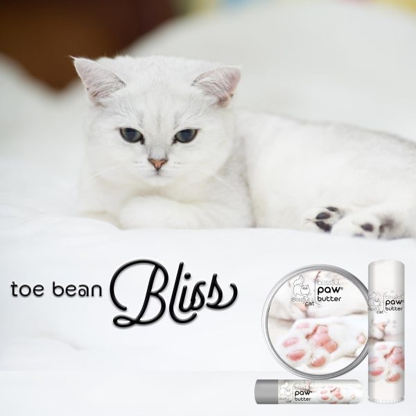 The Blissful Cat Paw Butter, Moisturizer for Dry Paw Pads, Softens and Protects a Rough Paw, Versatile, Lick-Safe Cat Paw Balm, 0.15 oz. - Image 5